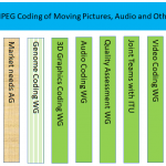 MPEG and JPEG are grown up